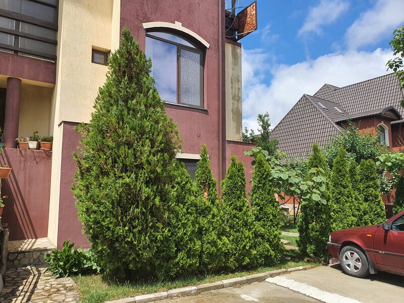 Buftea, 2 parcari, parter, gradina